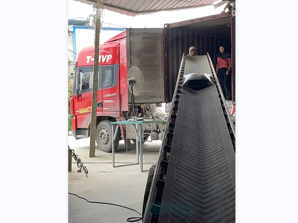 怀远糯米批发：香糯装车